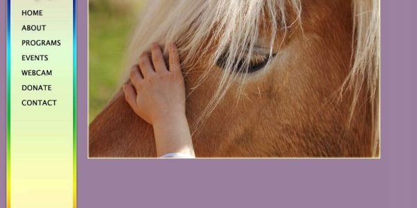 HandsOnHorses
