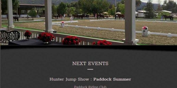 equestrianconcepts