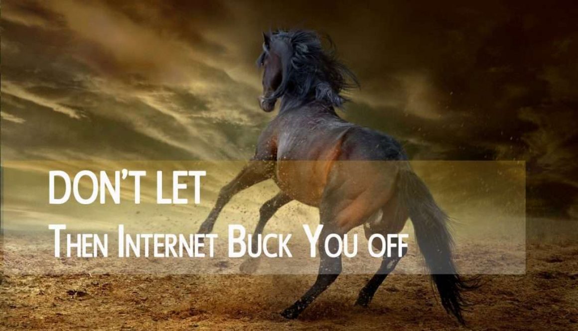 blog don't let the internet buck you off