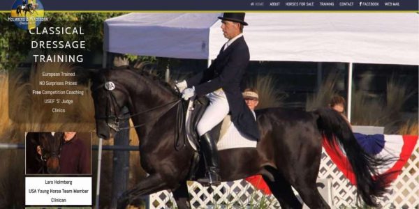 hwdressagedemo