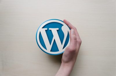 wordpress-589121_1920 wordpress-589121_1920