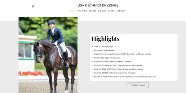 LisaSchmidtwebsite