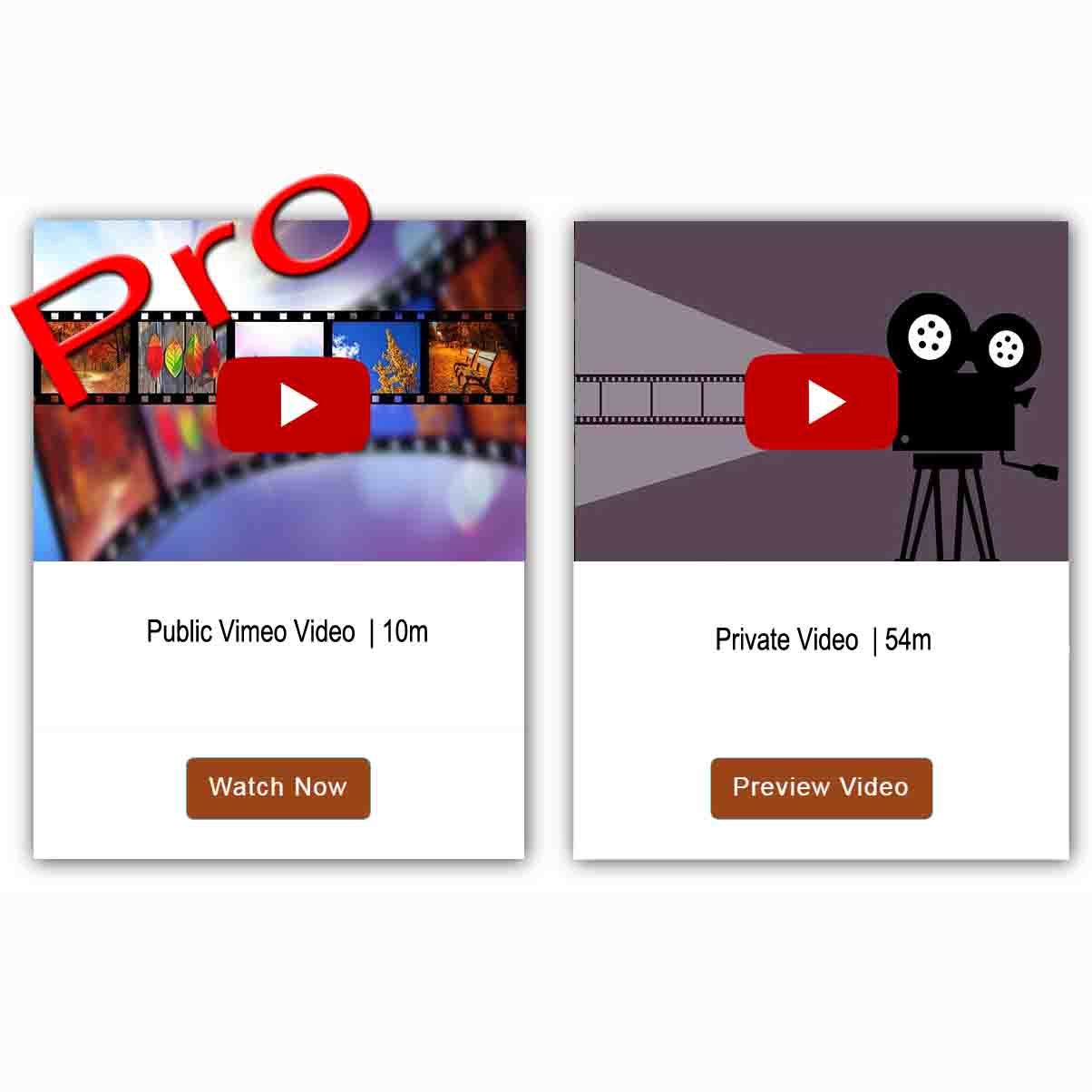 TeaserVideoLogoPro