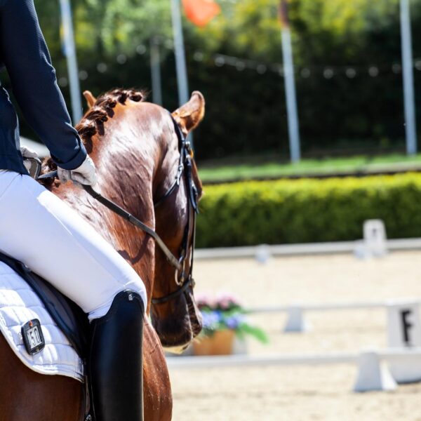 Virtual Sport Competition : Online Show License