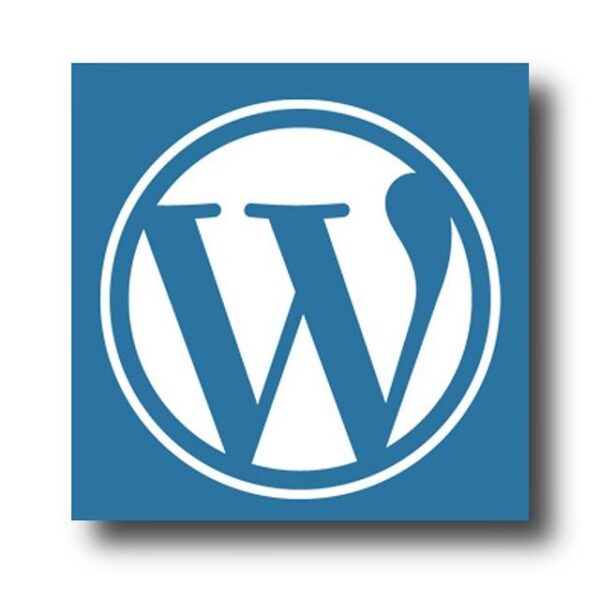 Website WordPress Monthly Update