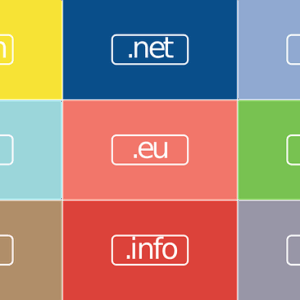 Domain Name Registration (.com, .org, .net)