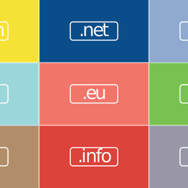 Domain Name Registration (.com, .org, .net)